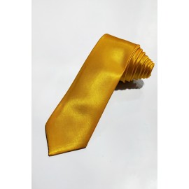Golden Yellow Tie Satin Cotton Formal Regular Tie