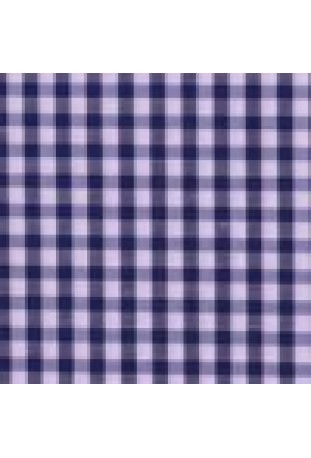 Blue Check Shirt