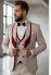 Beige & Wine Contrast Three-Piece Designer Suit Set